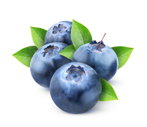 Blueberry ( e liquid | 100ml )