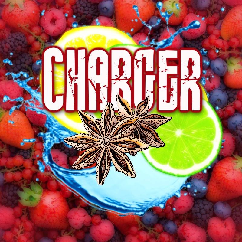 Charger (100ml eliquid)