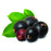Elderberry ( e liquid | 100ml )