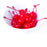 Maraschino Cherry ( e liquid | 100ml )