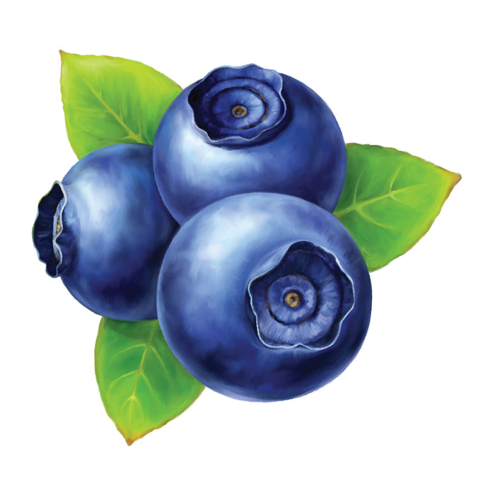 Blueberry Wild ( e liquid | 100ml )